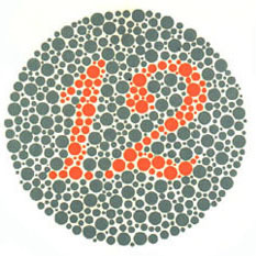 Ishihara plate 1: a circular pattern of colored dots. Record the number you see, or skip this plate.